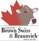 Logo Canadian Brown Swiss and Braunvieh